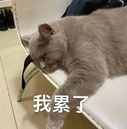 薅羊毛10月又有优惠券麦当劳kfc汉堡王
