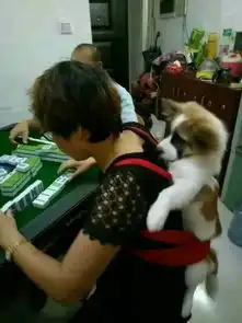 妹子,刮风天气就别穿裙子出来了,一直扶着多费劲
