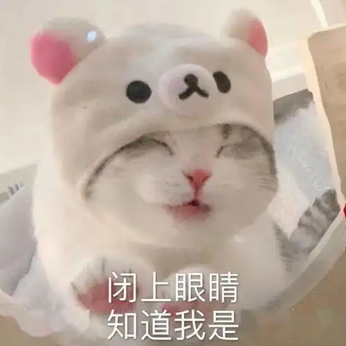 日常沙雕搞笑表情
