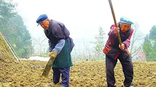 专家称搞不懂农民是怎么想的,为什么他们宁愿荒废土地也不愿种地
