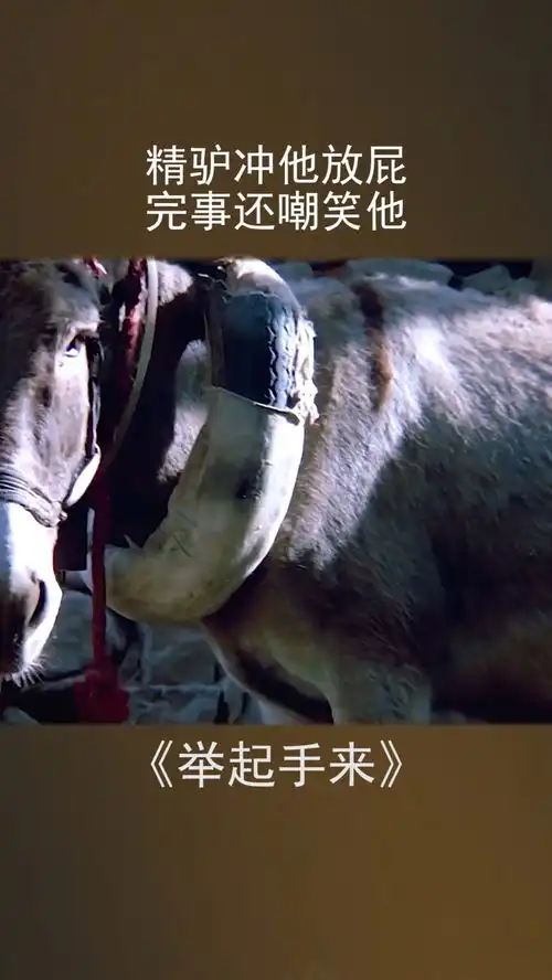 精驴冲他放屁,完事还嘲笑他电影搞笑
