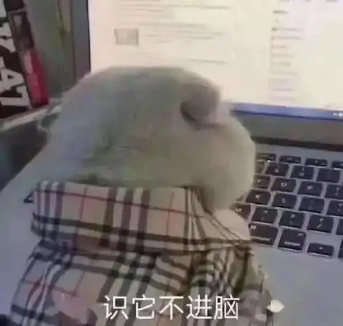自考倒计时考前怎么都学不进去,怎么办
