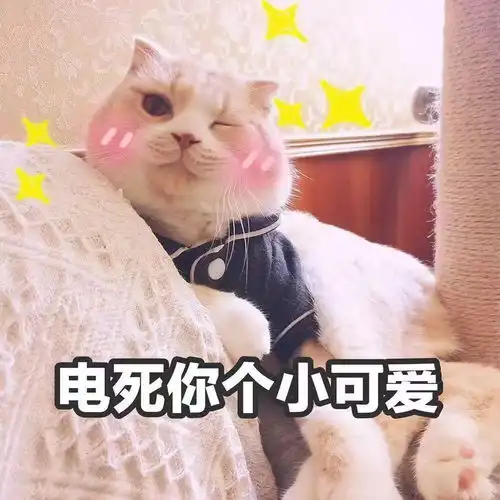 嘴硬怼人文案合集我黑点没事,你别绿了
