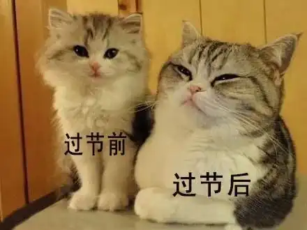 过年长肉春节这样吃不胖又营养,快看过来
