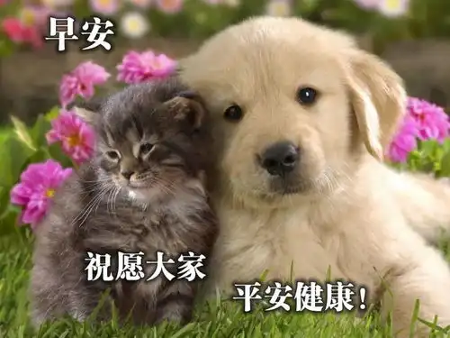 早安最美的正能量励志语录摘抄,送给自己努力奋斗的一句话
