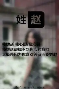 姓氏图片文字我姓赵
