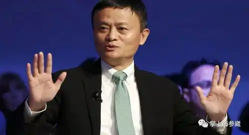 马云将参加东方经济论坛计划会见俄罗斯官员
