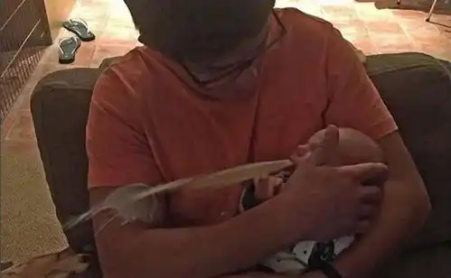 49个爆笑又温情的育儿瞬间,总有一张照片能戳中你和笑点和泪点
