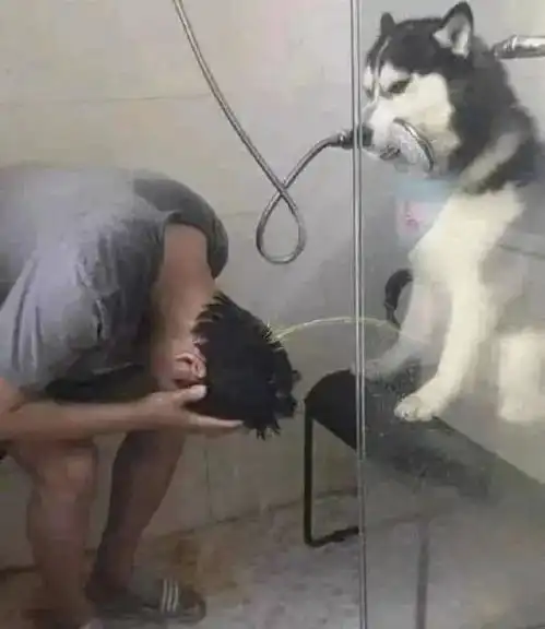 搞笑图片4a级女生宿舍谢绝参观
