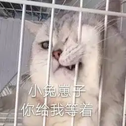 表情包丨谁在呼唤本可爱

