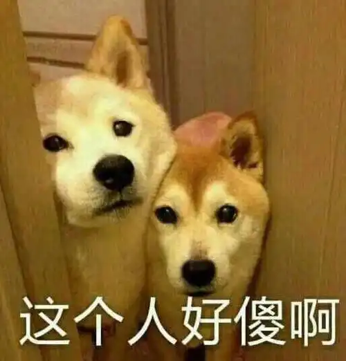 狗狗搞笑表情包来了不打算让自己可爱点吗教你转成微信表情包
