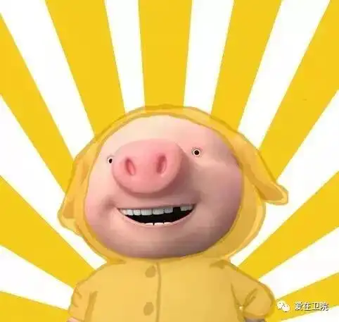 传统文化有哪些这些你知道吗
