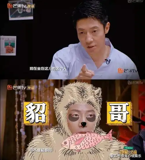 明侦改名大侦探宣布定档白敬亭撒贝宁因工作原因缺席录制
