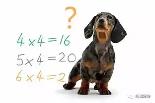 培训宠物犬算术识字找国旗
