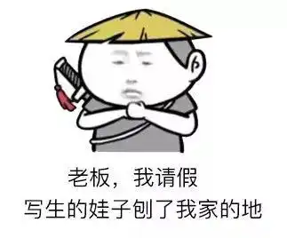 表情包各省请假理由,看看有没有你的
