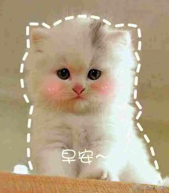 爆笑段子林志玲都结婚了,你还不抓紧
