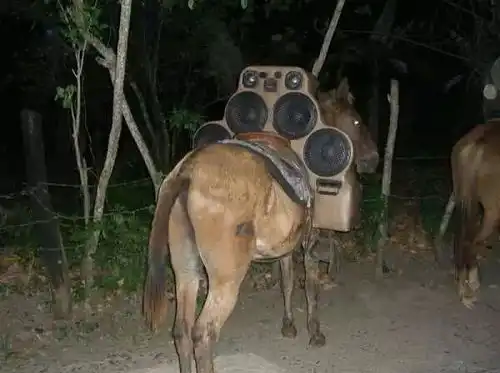 我新车上的音响还不错吧战斗
