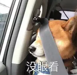 搞笑表情包卑从中来
