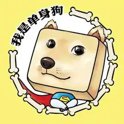 大学光棍节新规网友绝对感动单身汪组图
