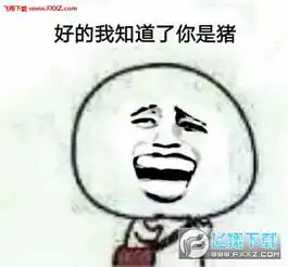 说你是猪套路表情图片下载说你是猪表情包下载飞翔下载
