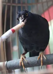 搞笑动物图集该戒了哈,你们
