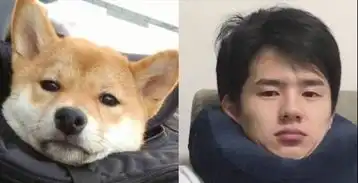 明星与动物撞脸,鹿晗呆萌,李荣浩搞笑,网友李现这张绝了刘昊然
