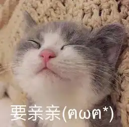 甜甜的猫咪表情包要亲亲
