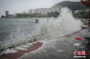 深圳台风妮妲过境大风致市区一片狼藉
