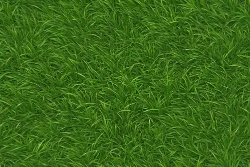 大自然的草坪贴图广告素材下载至来源处
