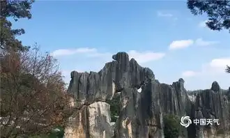 崔永元现身昆明喂海鸥,明星也纷纷打卡最美昆明蓝
