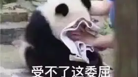 魔兽cg剪辑
