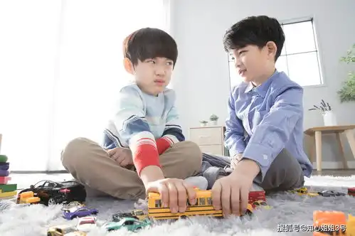 孩子之间打架,家长该不该出手干涉年长的孩子是否该让小的
