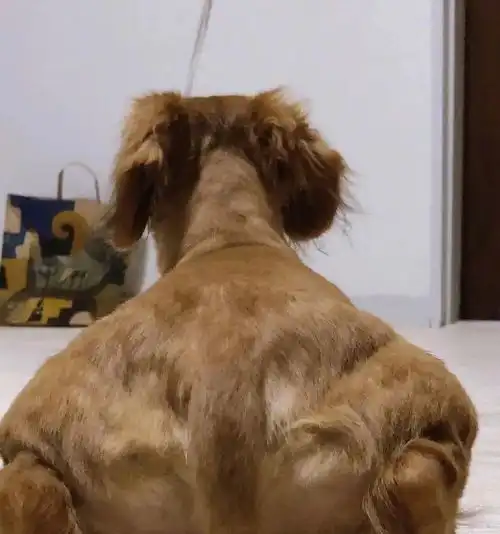 笑出腹肌的搞笑图片1
