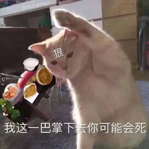 搞笑gif车你以后再把我当坦克开,看我不早点给你报废
