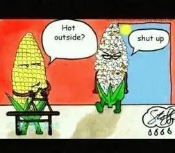 天气热的文段搞笑图片
