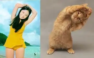 王众的照片专辑喜感很重要
