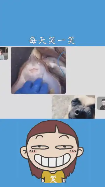 每天笑一笑搞笑视频表情包.百万视友赐神评

