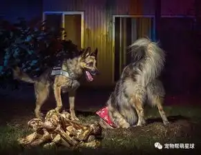 警犬也能为慈善出力网友知道真相后很激动
