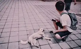 看见摄影大赛投票啦二
