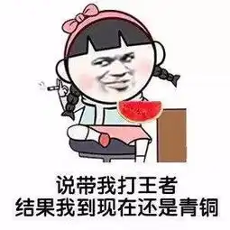 说带我打王者结果我到现在还是青铜
