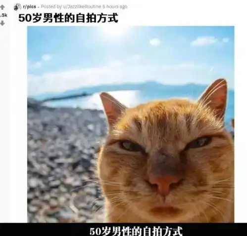 幽默图片搞笑段子妹子,地铁上睡得这么香,小心睡过站了
