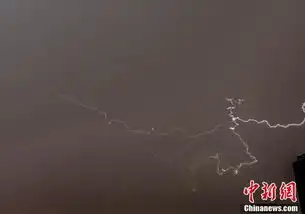 雷雨大风夜袭北京致积水严重
