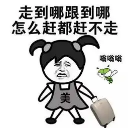 一场家的旅行

