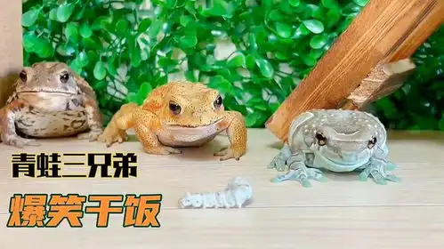 干饭的最高境界对着空气就是一顿猛干,青蛙三兄弟爆笑干饭
