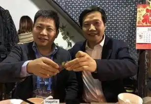 10淘金图解乌镇最重要饭局大佬位置丁磊做东独缺马云
