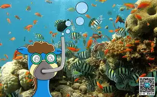 明信片
