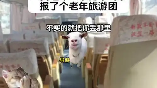 过年回家买不到票,大学生的搞笑困境
