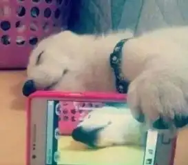 不自拍会死中毒已深
