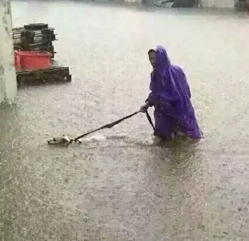 下雨天外出的n种方式,没有什么能阻止铲屎官遛狗
