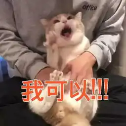 2018年最后一天,你还是一个人吗
